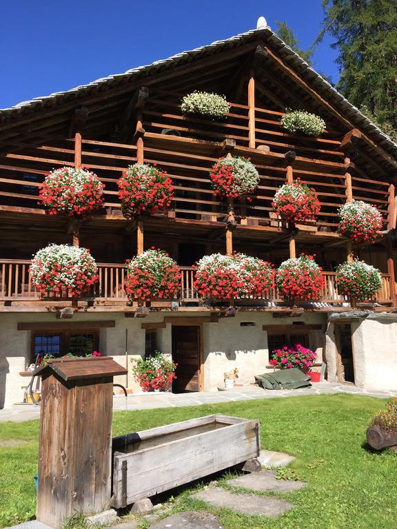 Wongade Hotel Gressoney-La-Trinite Bagian luar foto