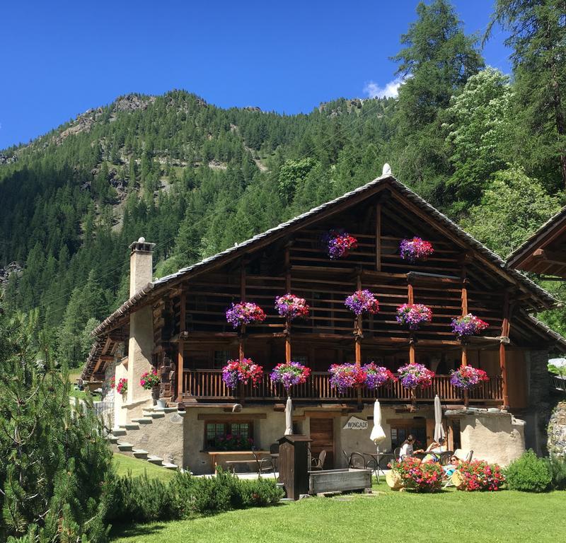 Wongade Hotel Gressoney-La-Trinite Bagian luar foto